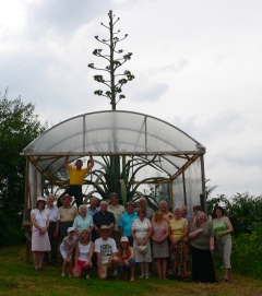 Gloucester Branch members and large flowering Agave americana at 40th anniversary barbecue.